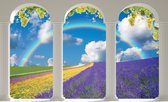 Lavendar Field Nature Arches Photo Wallcovering