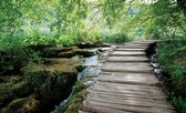 Forest Waterfalls Flow Path Photo Wallcovering