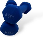 Padisport - Dumbells 0.5 kg - halter - gewichten set halters - gewichten 0.5 kg - blauw - Gewichten - dumbells - halters - gewichtjes 0.5 kg