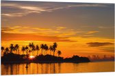 Vlag - Silhouet van Palmbomen op Eiland tijdens Felkleurige Zonsondergang - 120x80 cm Foto op Polyester Vlag