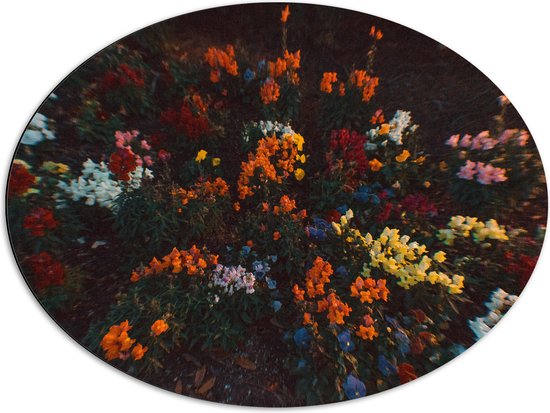 Dibond Ovaal - Bloemen - Wazig - Natuur - Bossen - Kleuren - Bladeren - 80x60 cm Foto op Ovaal (Met Ophangsysteem)