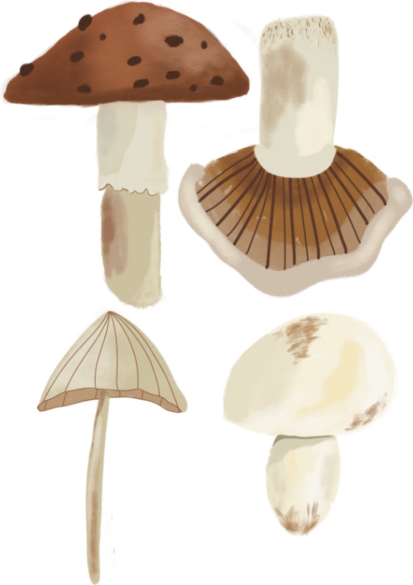 De Paddenstoelen - babykamer - decoratie - muurstickers