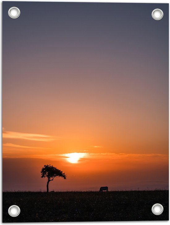 Tuinposter – Landschap - Wei - Boom - Dier - Zonsondergang - Gras - 30x40 cm Foto op Tuinposter (wanddecoratie voor buiten en binnen)