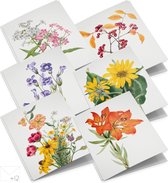 Wenskaarten set Wilde bloemen - 12 dubbele kaarten met enveloppen - zonder boodschap
