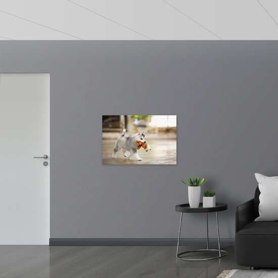 Dibond - Siberische Husky Puppy met Knuffel - 90x60 cm Foto op Aluminium (Wanddecoratie van metaal)