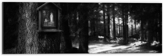 Dibond - Bossen - Bomen - Vogelhuisje - Zwart - Wit - 60x20 cm Foto op Aluminium (Wanddecoratie van metaal)