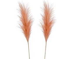 Emerald Pampasgras pluim losse steel/tak - 2x - oudroze - 115 cm - Decoratie kunst bloemen/graspluimen