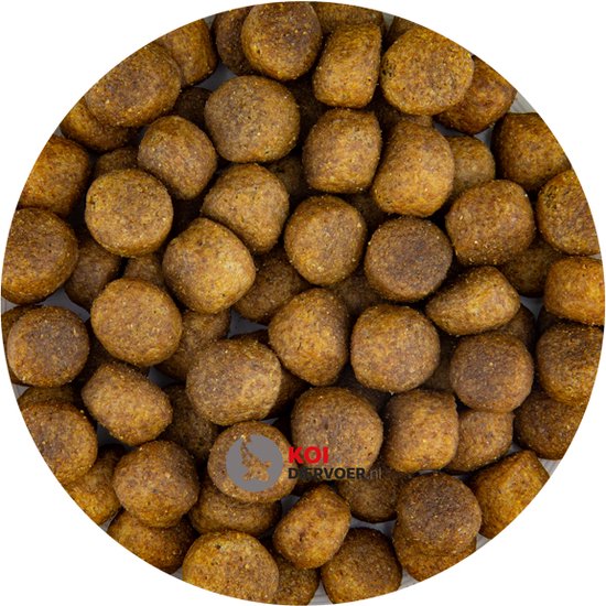 Vegdog Trockenfutter Farmer's Crunch veganes Trockenfutter für Hunde Vegdog Trockenfutter Farmer's Crunch veganes Trockenfutter für Hunde