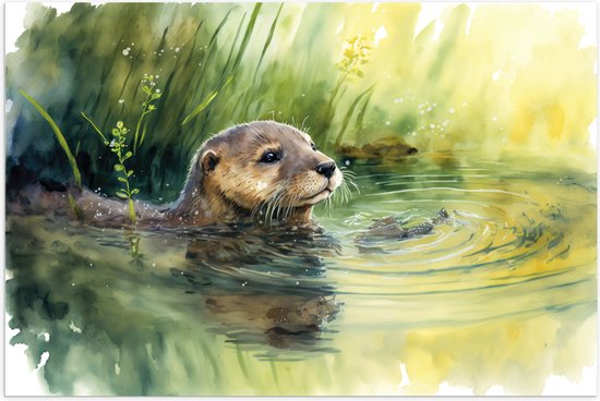 Poster Glanzend – Tekening van Zwemmende Otter in de Rivier - 150x100 cm Foto op Posterpapier met Glanzende Afwerking
