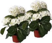 2 Stuks kunstplanten hortensia wit 36 cm - Kunstplanten/nepplanten met witte bloemen