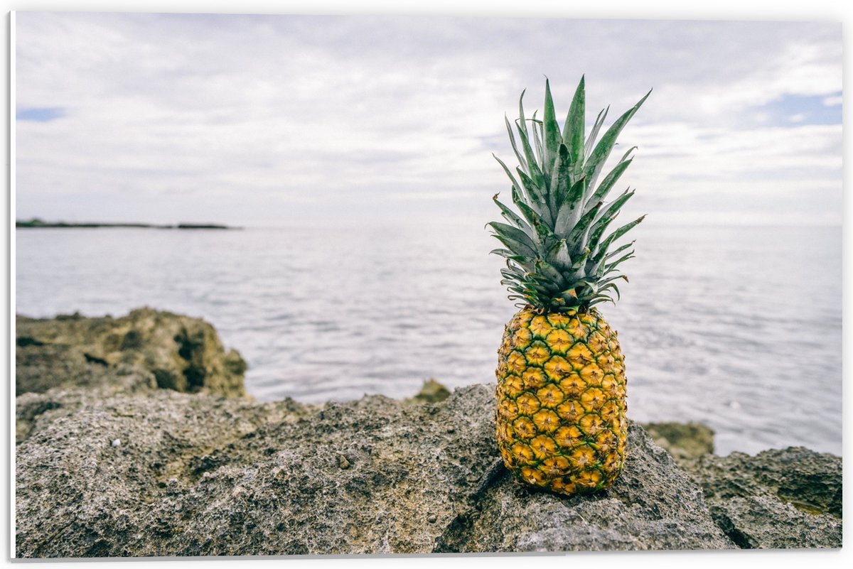 PVC Schuimplaat- Ananas - Rotsen - Zee - Golven - 60x40 cm Foto op PVC Schuimplaat