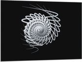 Vlag - Zwart - Wit - Lijnen - Vorm - Rondje - 100x75 cm Foto op Polyester Vlag