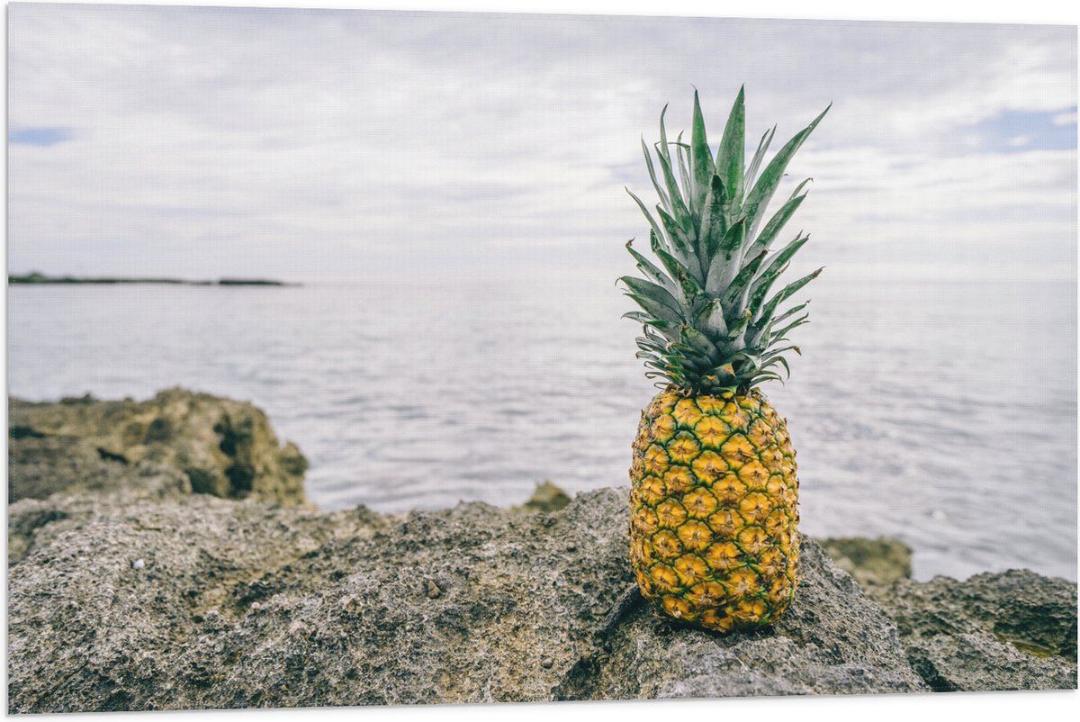 Vlag - Ananas - Rotsen - Zee - Golven - 90x60 cm Foto op Polyester Vlag