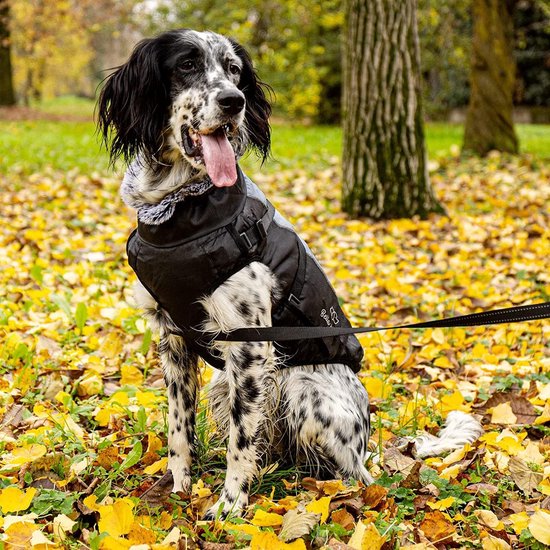 Etechra Manteaux pour Chien, Peluche, Réfléchissant, Réversible