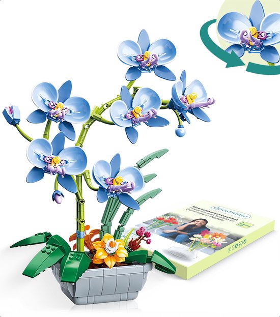 Ensemble de construction de Fleurs Questmate - Orchidée - Splendeur florale  pour