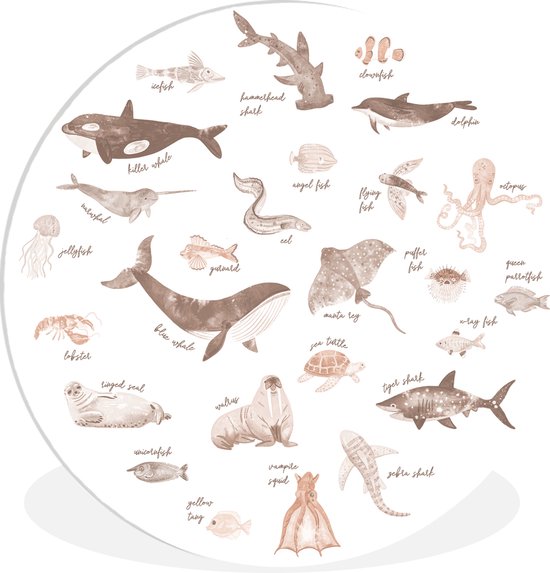 WallCircle - Cercle mural - Cercle mural intérieur - Animaux aquatiques - Animaux - Marron - Enfants - Chambre d'enfant - 30x30 cm - Décoration murale - Peintures ronds