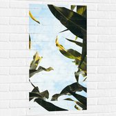 Muursticker - Lucht - Wolken - Plant - Bladeren - Kleuren - 50x100 cm Foto op Muursticker