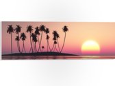 PVC Schuimplaat - Silhouet van Bomen op Eiland bij Ondergaande Zon - 60x20 cm Foto op PVC Schuimplaat (Met Ophangsysteem)