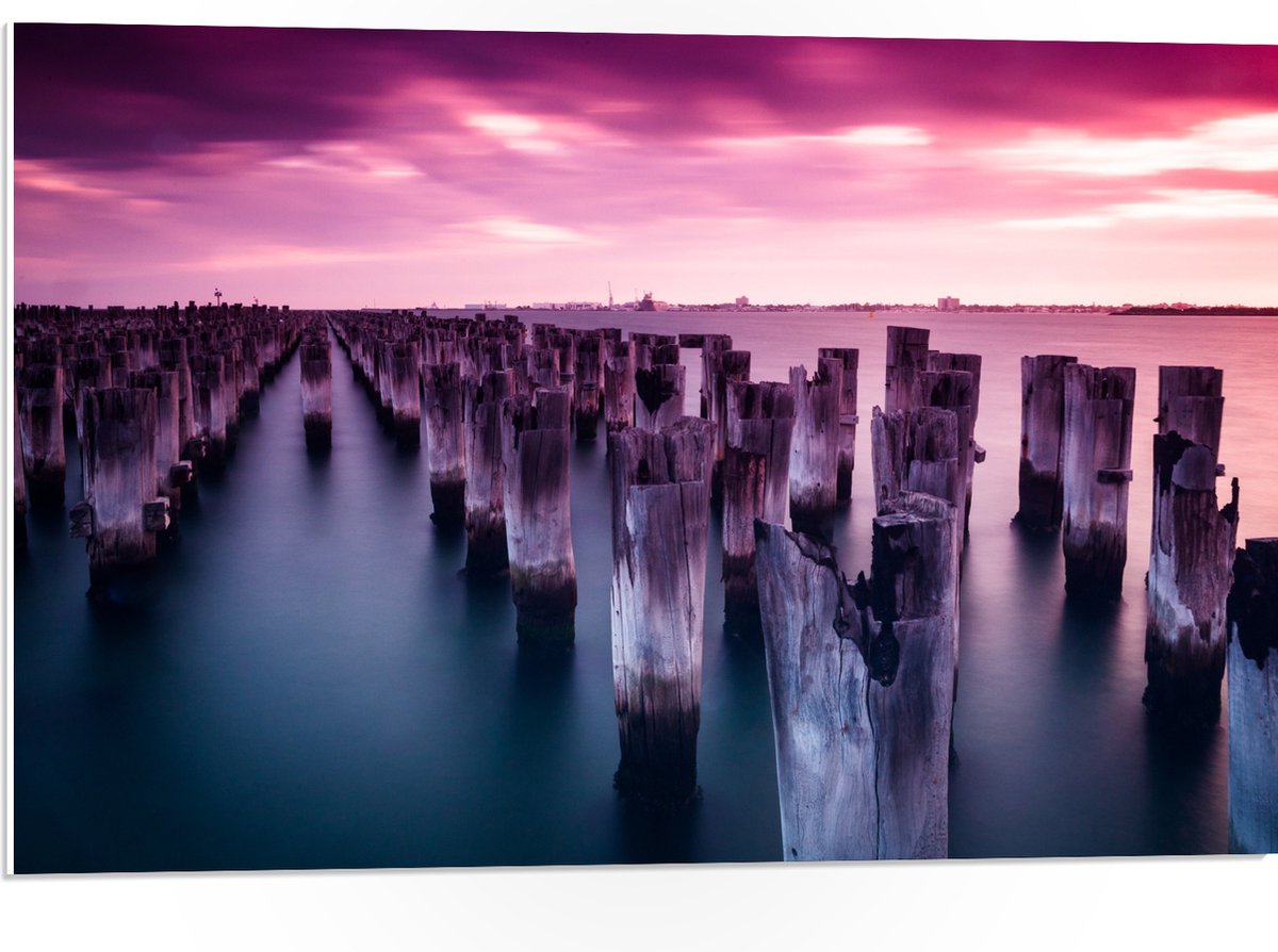 PVC Schuimplaat- Palen - Water - Hout - Zee - Kleuren - 75x50 cm Foto op PVC Schuimplaat