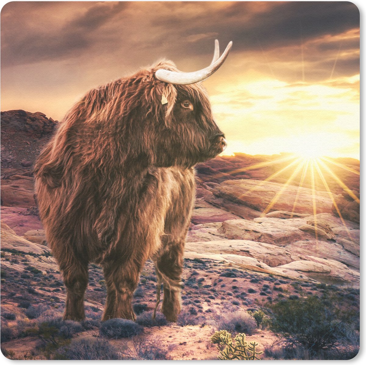 Muismat 20x20 cm - Mousepad Koe - Schotse hooglander - Stenen - Muismatten