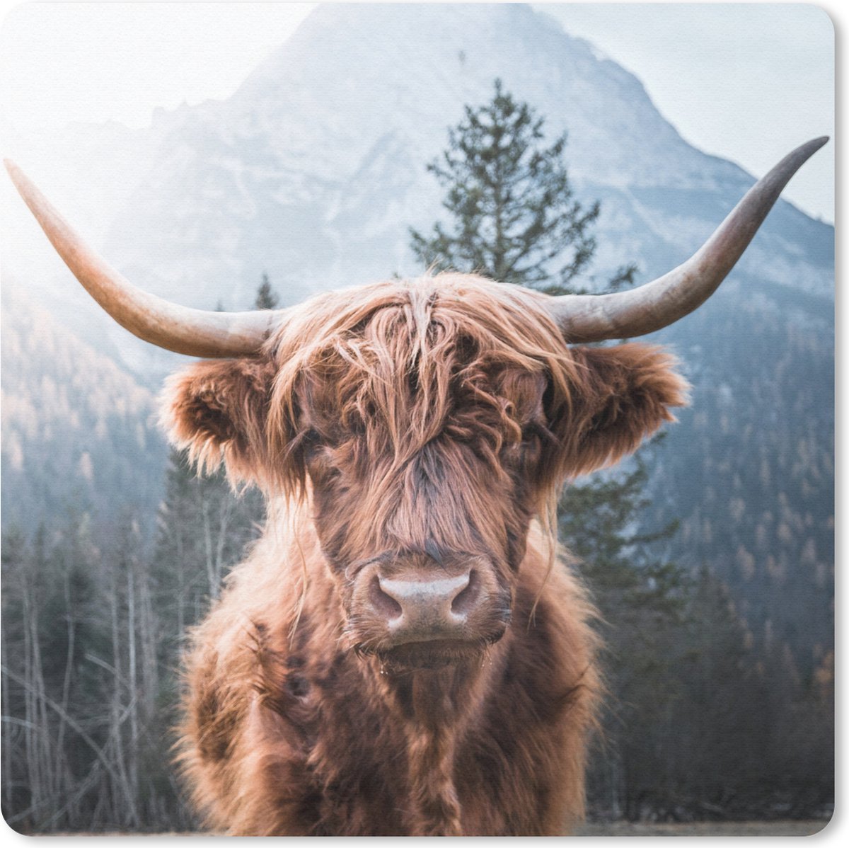 Muismat 30x30 cm - Mousepad Schotse hooglander - Berg - Landschap - Muismatten
