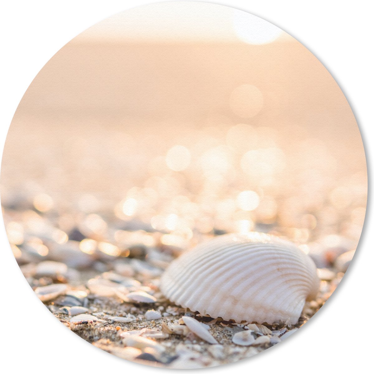 Muismat rond 40x40 cm - Mousepad Schelpen - Wit - Strand - Zomer - Ronde muismatten