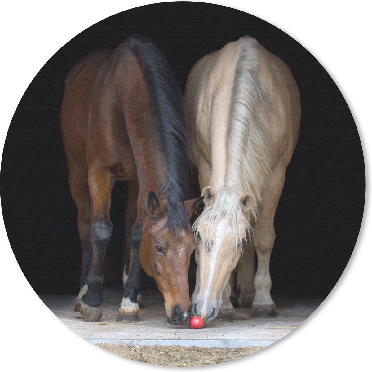 Muismat rond 40x40 cm - Mousepad Paarden - Dieren - Appel - Ronde muismatten