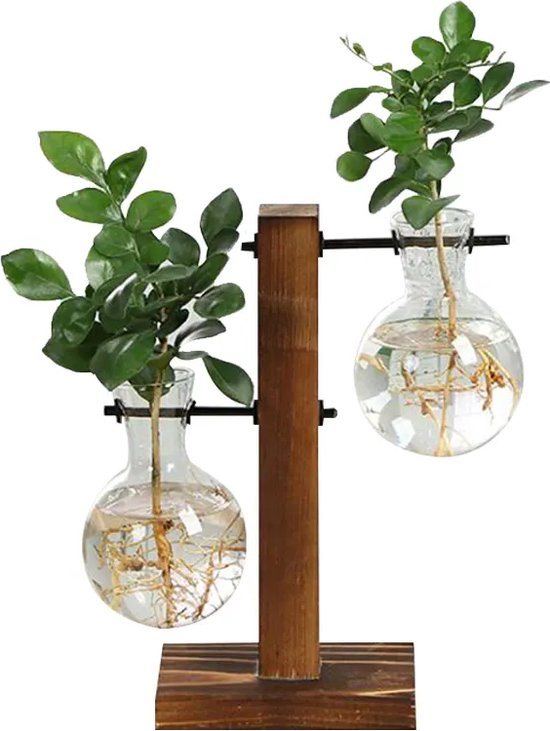 De Stekjesboom - Stekstation - Droogbloemen - 2 Glazen Vaasjes - Classic - Planten Stekken - Hydrocultuur - Hydroponie - Bulb Vase Plant Terrarium - Hydrocultuur Planten - (2 bollenvaas)