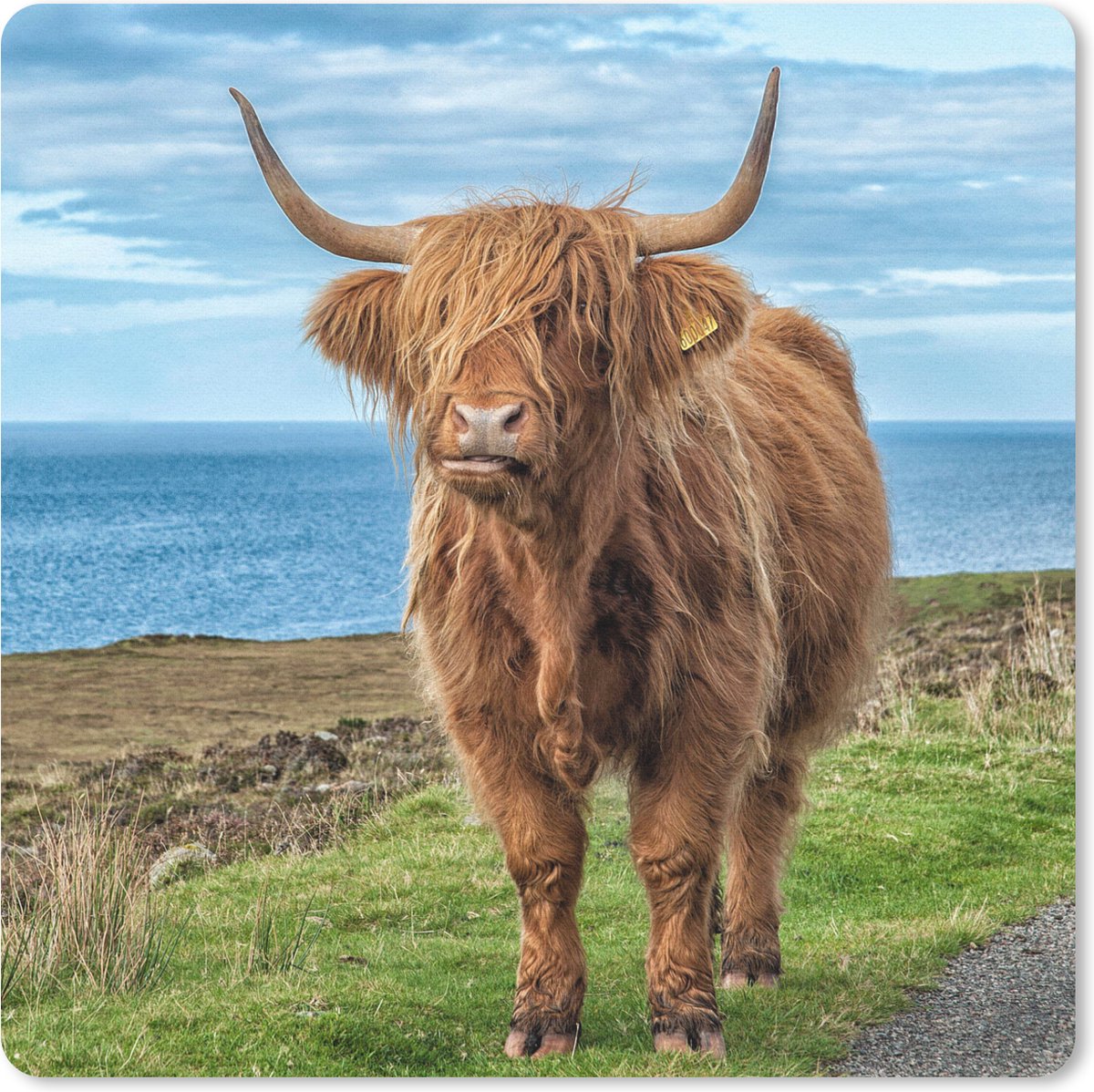 Muismat 20x20 cm - Mousepad Schotse Hooglander - Water - Horens - Muismatten