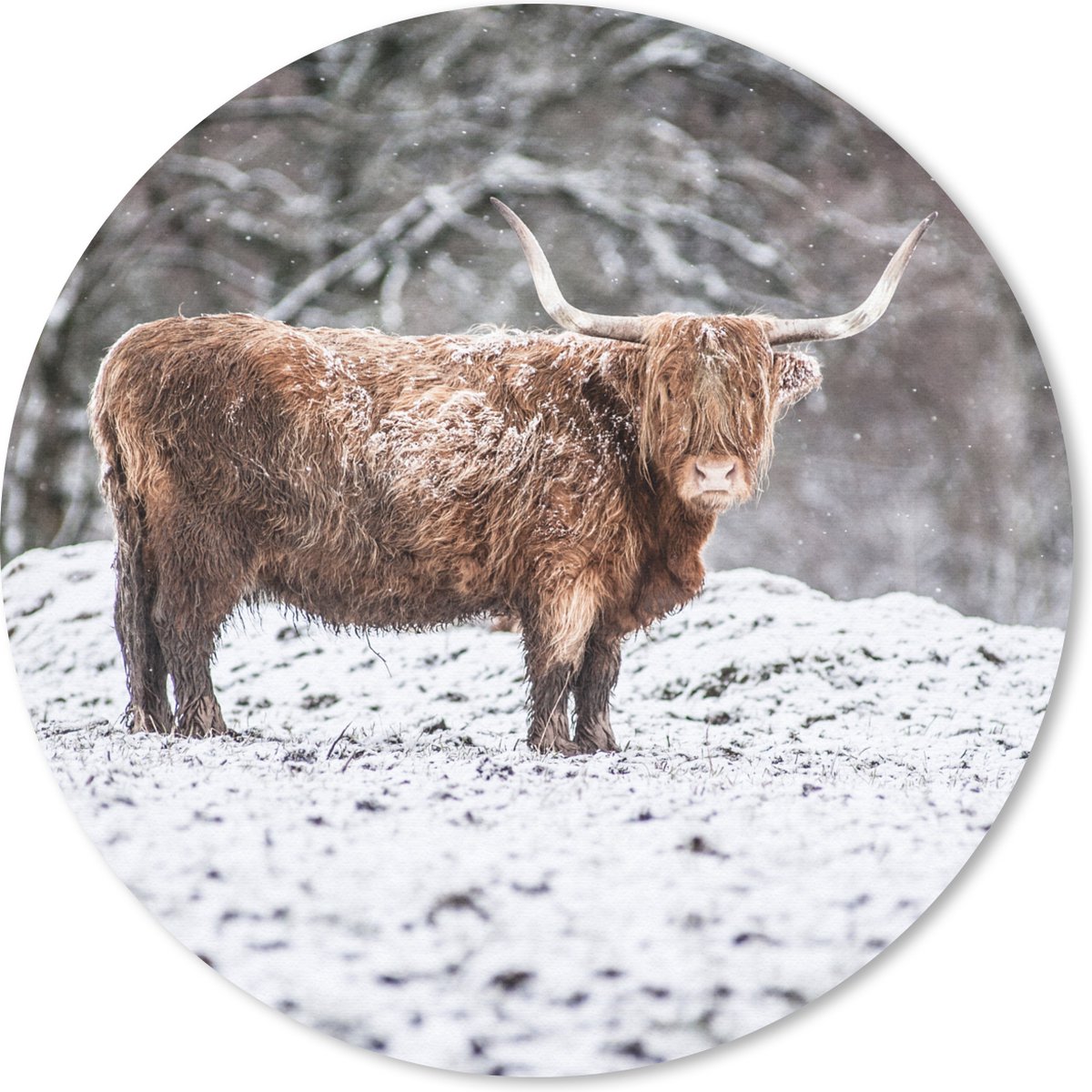 Muismat rond 50x50 cm - Mousepad Schotse Hooglander - Boom - Sneeuw - Ronde muismatten