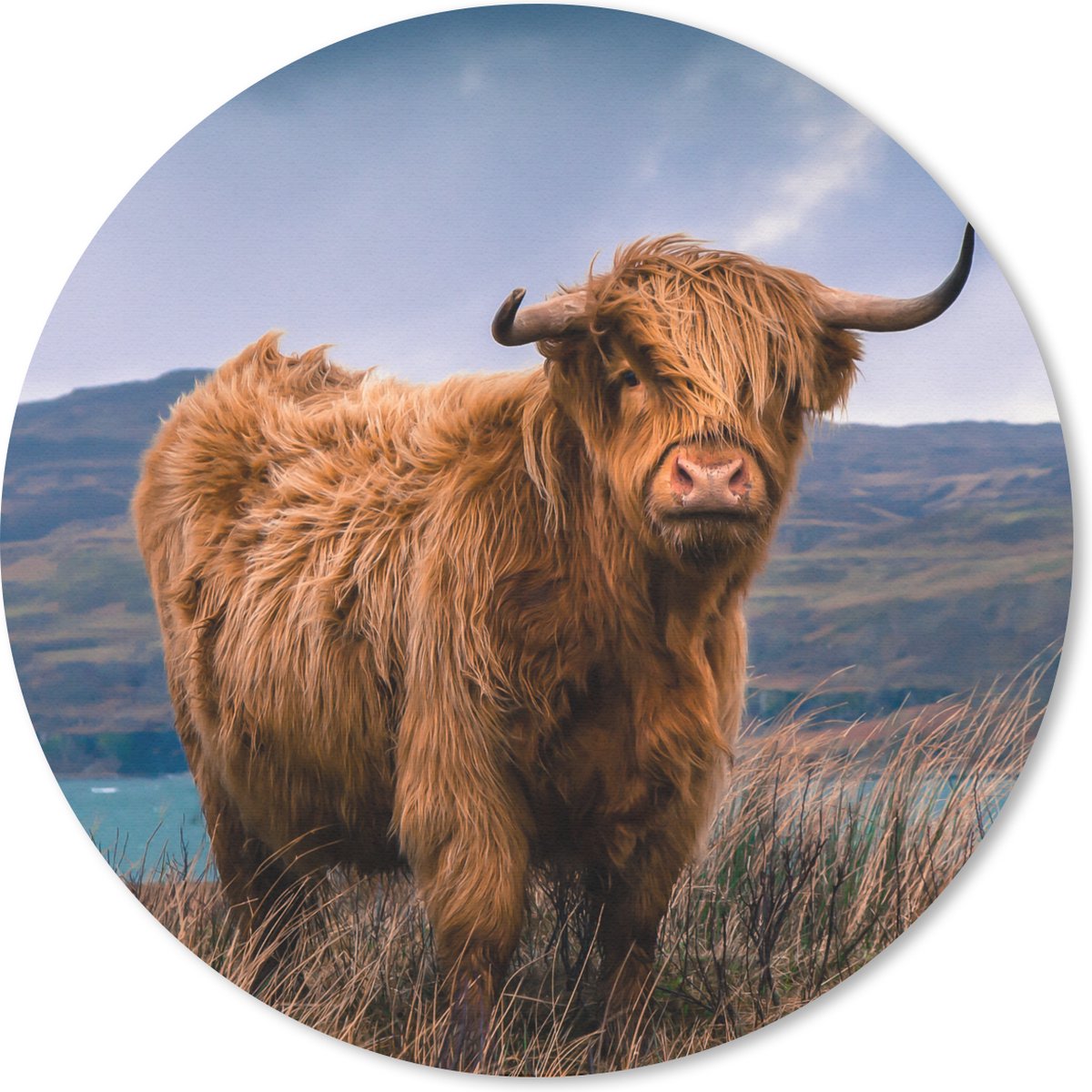 Muismat rond 50x50 cm - Mousepad Schotse hooglander - Lucht - Natuur - Ronde muismatten