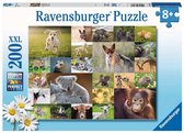 Ravensburger Puzzel Schattige babydieren - 200 stukjes