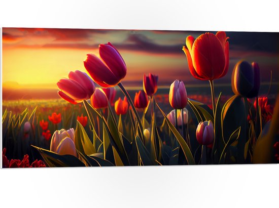 PVC Schuimplaat- Kleurrijke Tulpen in Bloemenveld - 100x50 cm Foto op PVC Schuimplaat