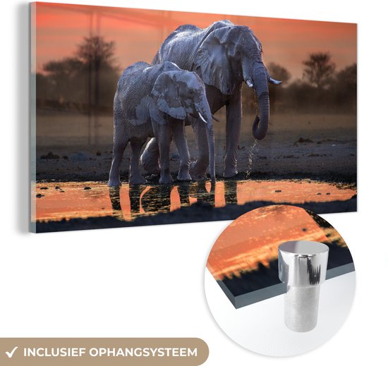 Schilderij - rode zonsondergang olifanten - afrika - online kopen Schilderij - rode zonsondergang olifanten - afrika - online kopen