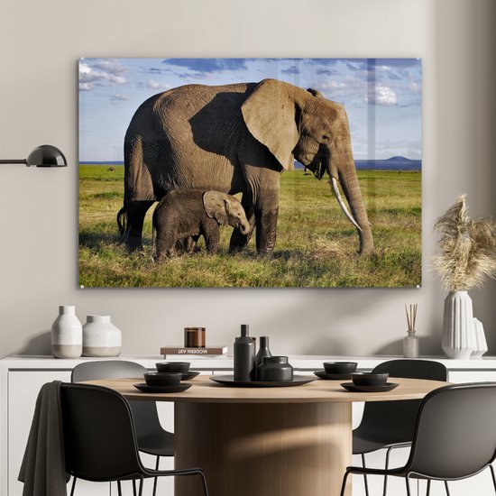 MuchoWow® Peinture sur verre 120x80 cm - Peinture sur verre acrylique - Éléphant - Animaux - Prairie - Vert - Grijs - Photo sur verre - Peintures