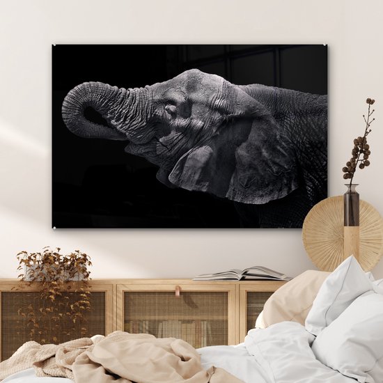 MuchoWow® Peinture sur verre - Éléphant - Animaux - Zwart - Nature - 90x60 cm - Peintures sur verre acrylique - Photo sur Glas