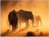 Poster Glanzend – Kudde Olifanten in Fel Zonlicht - 80x60 cm Foto op Posterpapier met Glanzende Afwerking