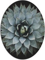 Dibond Ovaal - Bloem - Natuur - Groen - Grijs - 51x68 cm Foto op Ovaal (Met Ophangsysteem)