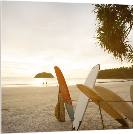 Acrylglas - Rij Surfplanken op het Strand tijdens Avondzon - 100x100 cm Foto op Acrylglas (Wanddecoratie op Acrylaat)