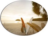 Dibond Ovaal - Rij Surfplanken op het Strand tijdens Avondzon - 56x42 cm Foto op Ovaal (Met Ophangsysteem)