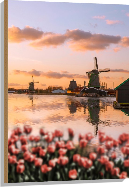 Hout - Rij Tulpen aan het Water voor Molens in Nederland - 60x90 cm - 9 mm dik - Foto op Hout (Met Ophangsysteem)