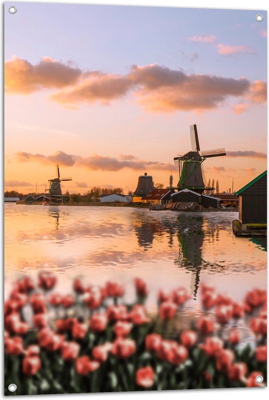 Tuinposter – Rij Tulpen aan het Water voor Molens in Nederland - 70x105 cm Foto op Tuinposter (wanddecoratie voor buiten en binnen)