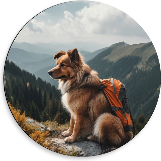 Dibond Muurcirkel - Reizende Hond met Rugzak op Top van de Berg - 50x50 cm Foto op Aluminium Muurcirkel (met ophangsysteem)