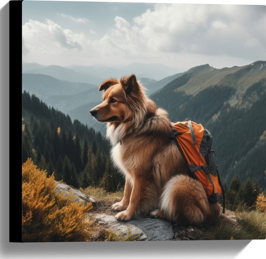 Canvas - Reizende Hond met Rugzak op Top van de Berg - 40x40 cm Foto op Canvas Schilderij (Wanddecoratie op Canvas)