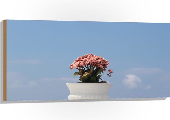 Hout - Bloemen - Bladeren - Lucht - Bloembak - Kleuren - 100x50 cm - 9 mm dik - Foto op Hout (Met Ophangsysteem)