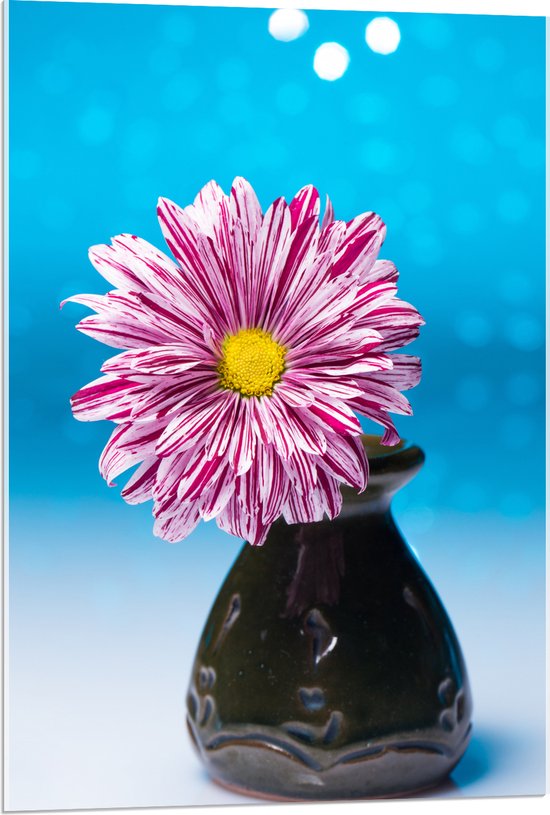 Acrylglas - Roze Madeliefje in Zwart Vaasje tegen Blauwe Glitter Achtergrond - 60x90 cm Foto op Acrylglas (Wanddecoratie op Acrylaat)