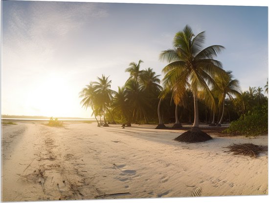 Acrylglas - Felle Zonnestralen over het Strand en Palmbomen - 100x75 cm Foto op Acrylglas (Wanddecoratie op Acrylaat)