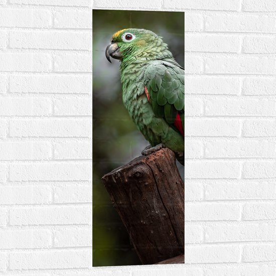 Muursticker - Groene Amazone Papegaai Zittend op Boomstronk in het Bos - 30x90 cm Foto op Muursticker