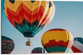 Dibond - Man in Mandje onder Kleurrijke Luchtballon omringd door Luchtballonnen - 75x50 cm Foto op Aluminium (Wanddecoratie van metaal)