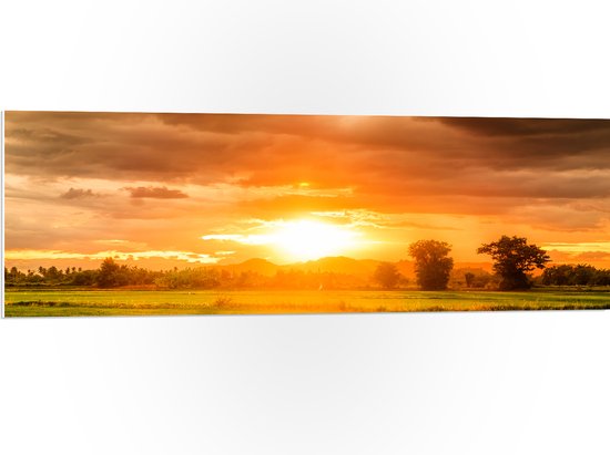 PVC Schuimplaat- Felle Zonnestralen over Groen Gras in Landschap - 120x40 cm Foto op PVC Schuimplaat